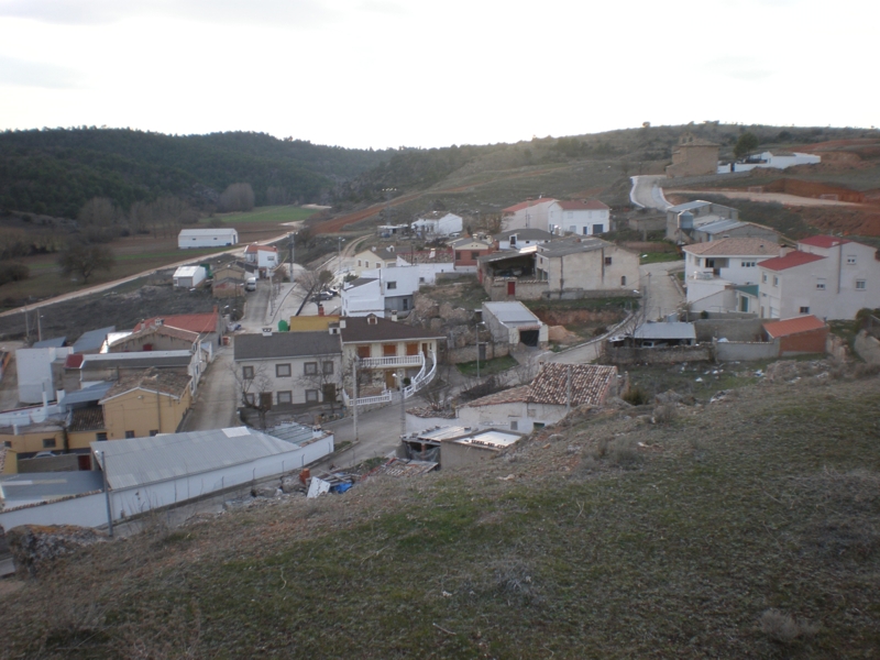 Tórtola